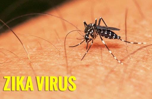 Những biện pháp giúp giảm nguy cơ nhiễm vi rút Zika cho mẹ bầu